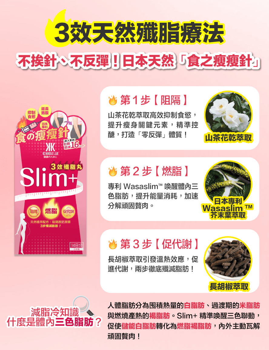 Kenkou Lab SLIM+ 3效殲脂丸 (28粒), 日本專利「食之瘦瘦針」, 真人實測勁減肚腩16.21cm²
